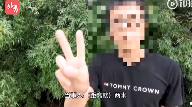 第370页