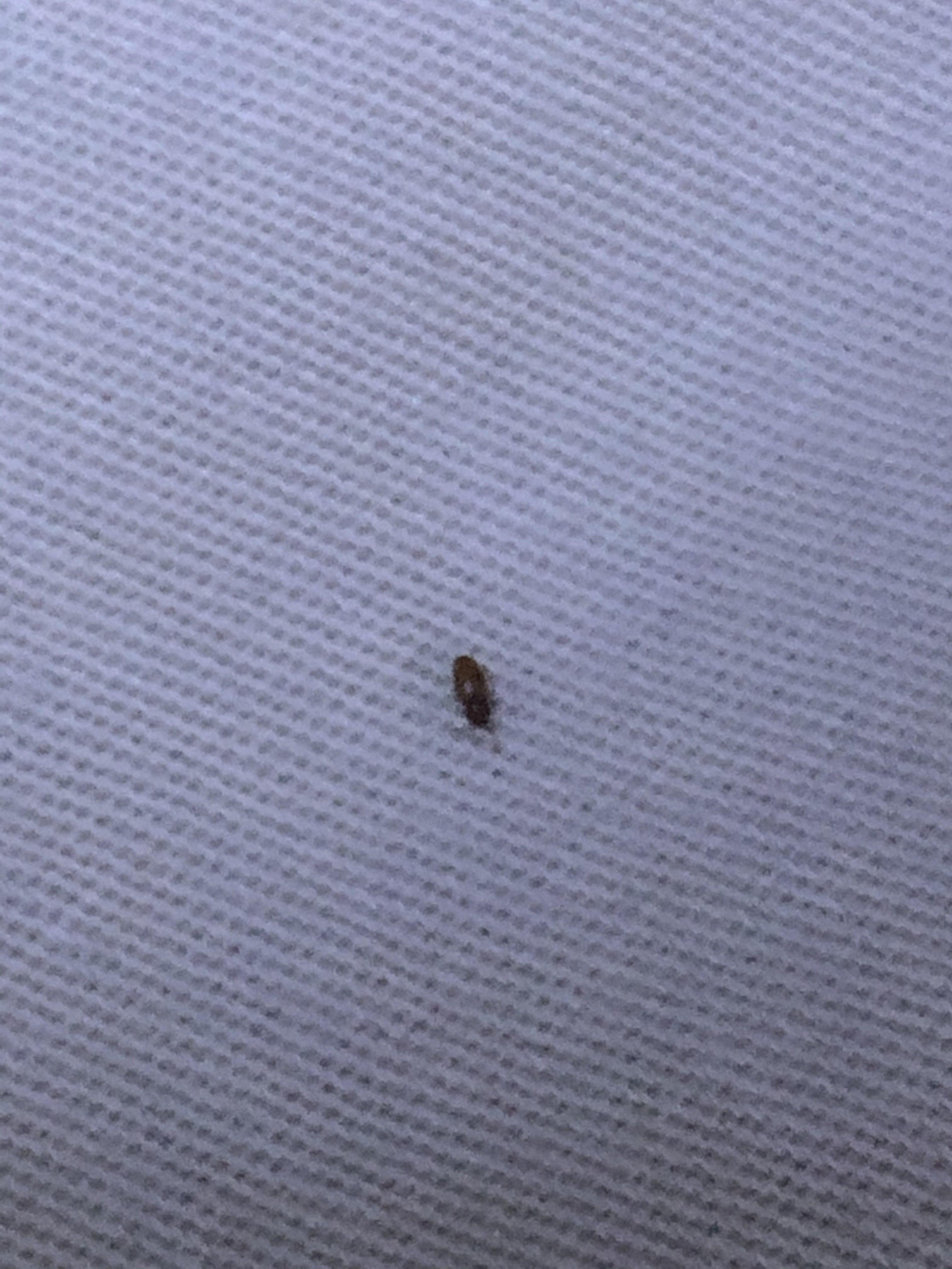第328页