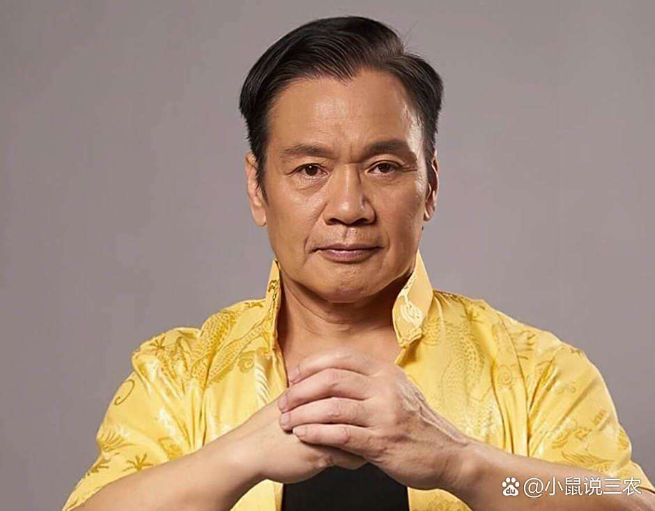 罗莽近况罗莽近况，探寻他的最新动态与生活点滴